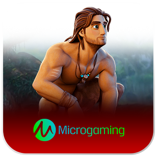 Micro Gaming